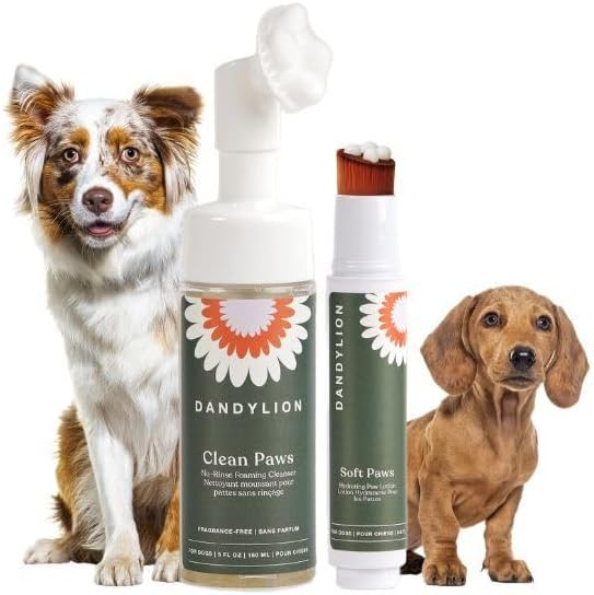 Dandylion Daily Paw Care Kit – No‑Rinse Paw Cleaner + Hydrating Paw Lotion with Brush – Gen... | Amazon (US)