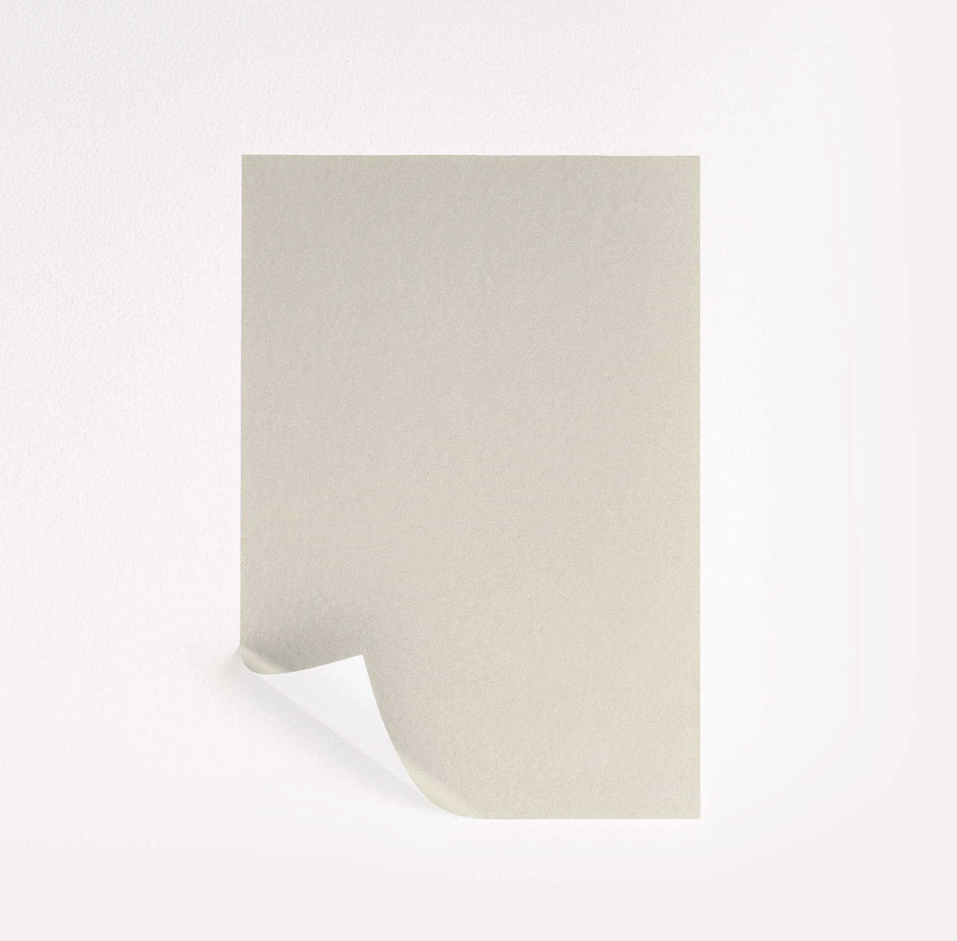 Strand of Pearls  Paint Sample | Samplize