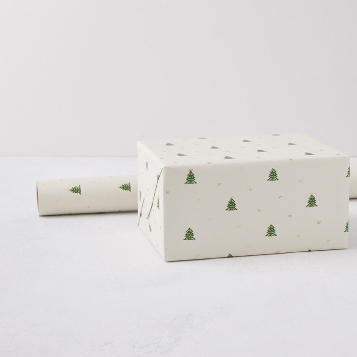 Wrapping Paper Roll | Minted