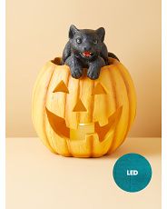 16in Led Light Up Pumpkin With Cat Statue | HomeGoods