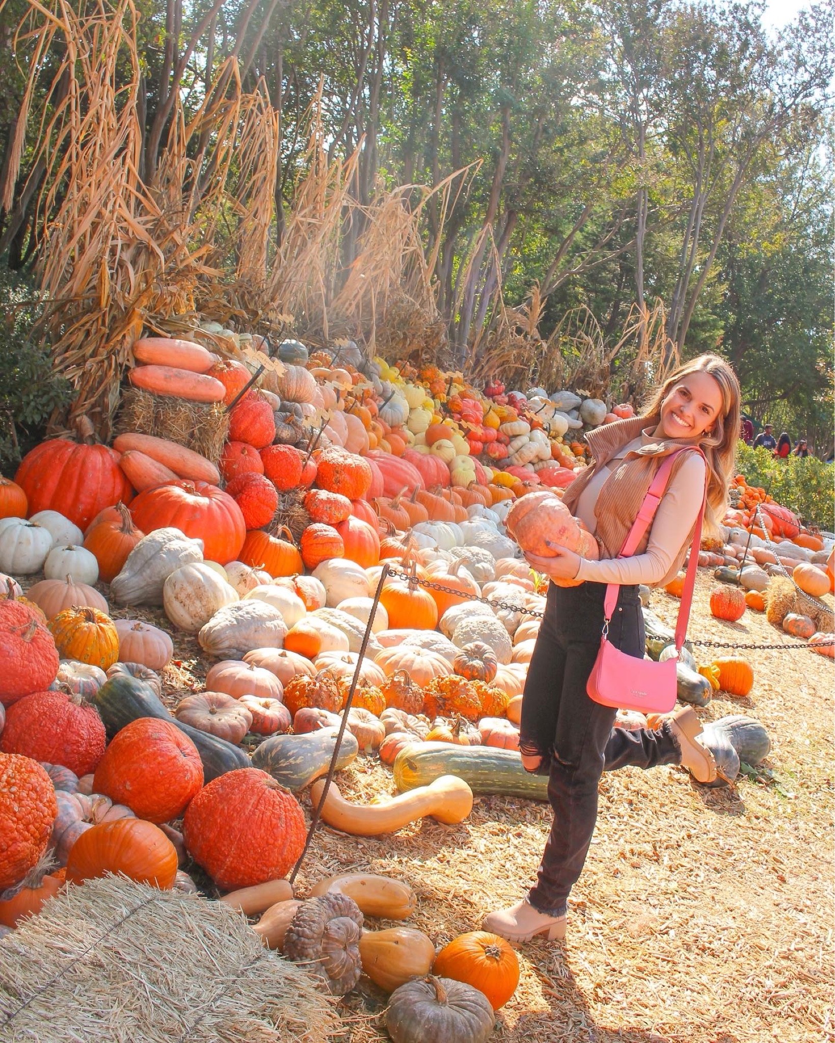 Fall favorites // 🍂💕🎃

#LTKstyletip #LTKunder100 #LTKSeasonal