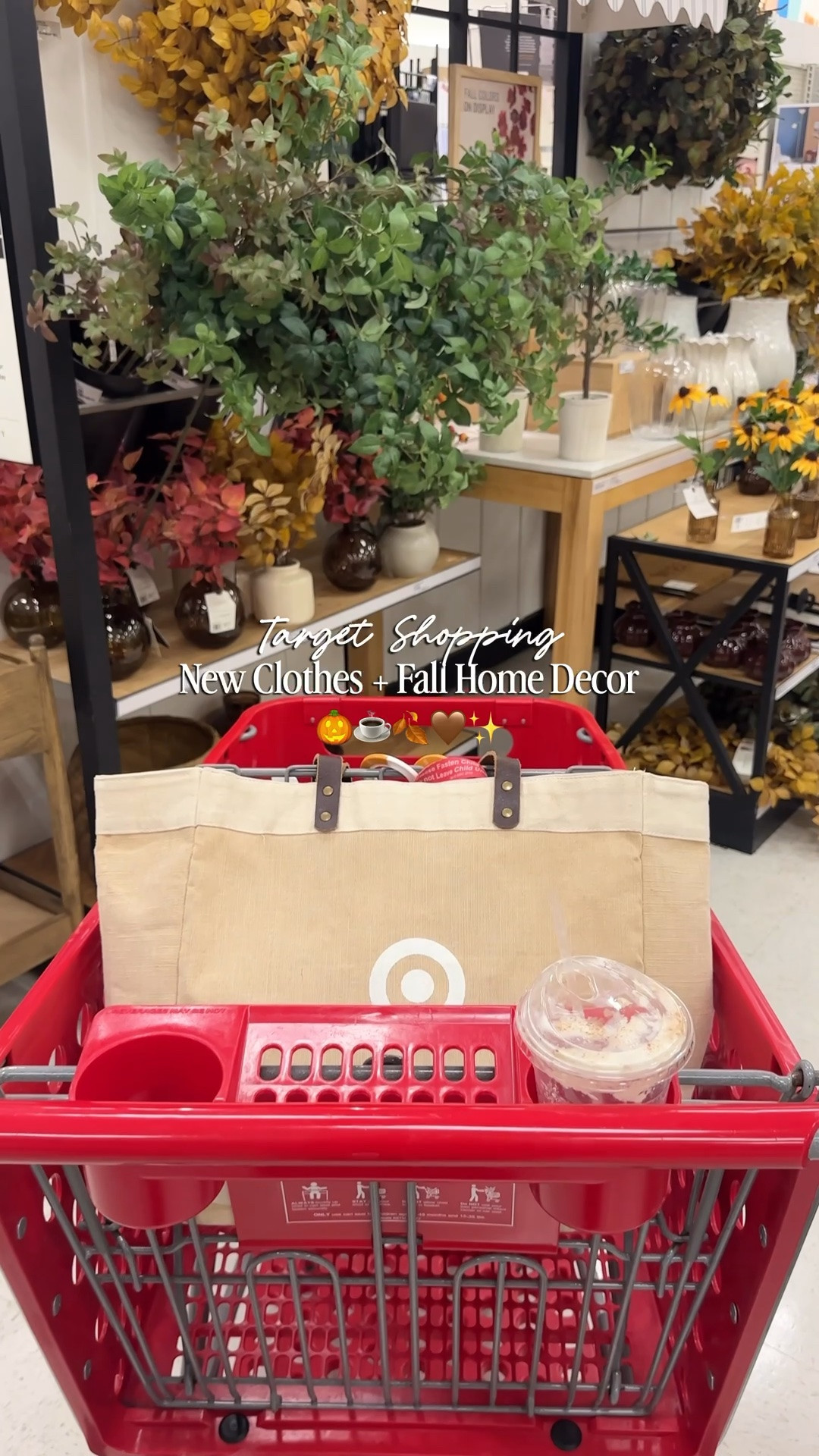 Target run with so many new arrivals for fall! Fall home decor and new clothes! 

 #LTKvlog #LTKSeasonal