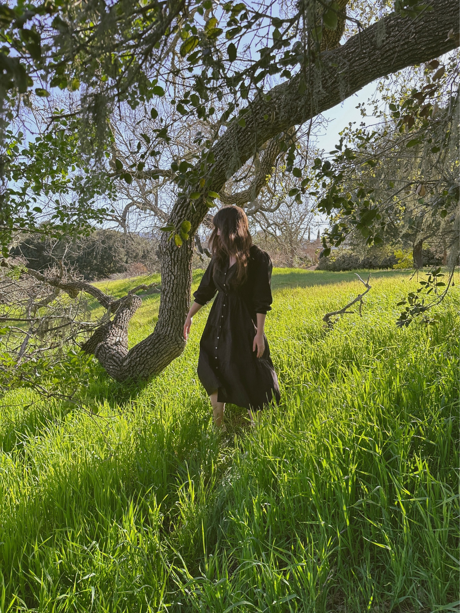 Once we get through all this rain, I’m ready for a superbloom spring 🌱

This perfect everyday dress is @trovata — Linked on @shop.LTK 

pr 