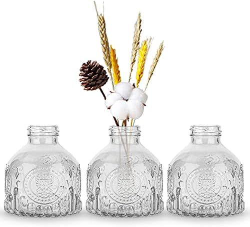 OppsArt Glass Bud Vases for Decor Set of 3, Small Clear Decorative Vases for Farmhouse Fireplace,... | Amazon (US)