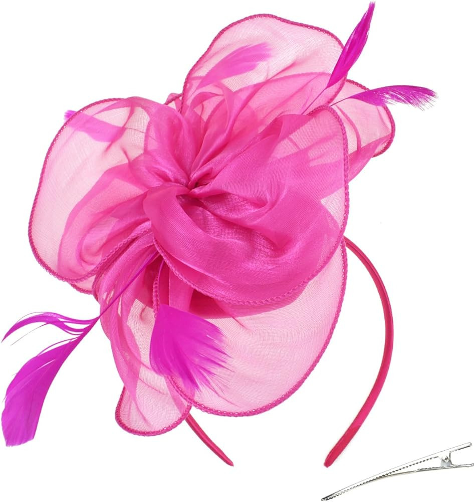 DRESHOW Fascinators Hat Tea Party Headwear Ribbons Feathers on a Headband and a Clip for Girls an... | Amazon (US)