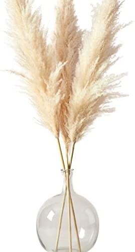 Amazon.com: 42.5" (3.5ft) Pampas Grass - 3 Stems Pampas Grass Decor Tall - Natural Pampas Grass L... | Amazon (US)