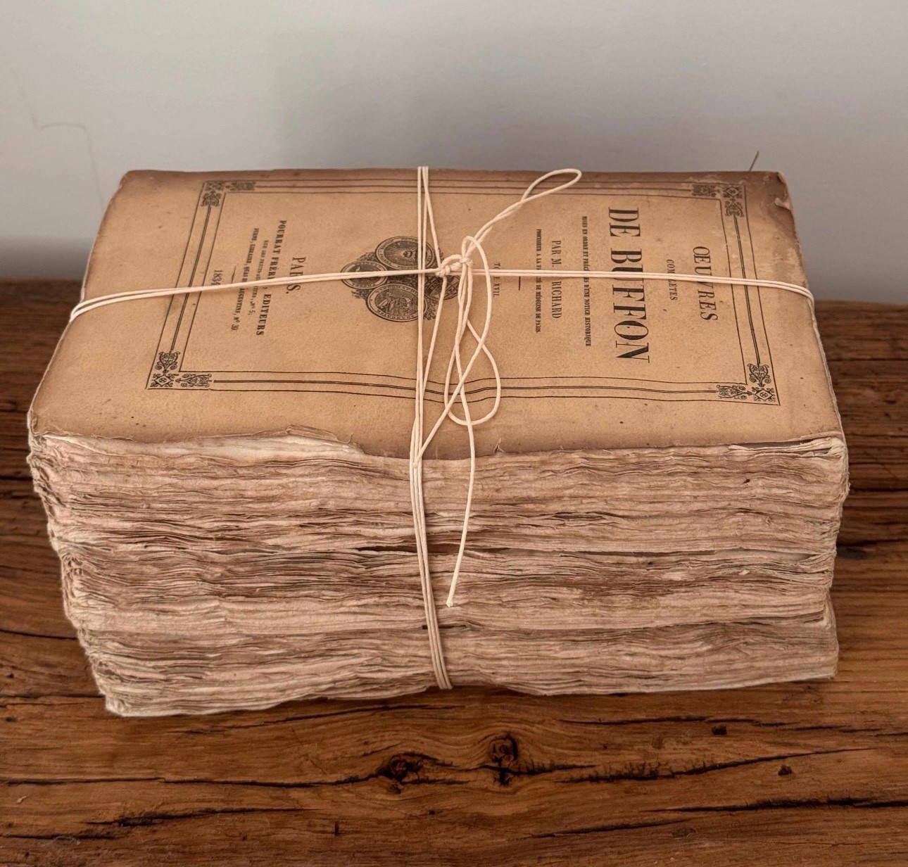There’s something about antique French books…
the softened pages, the imperfect edges, the quiet weight of time.

They don’t just sit on a shelf — they change the way a space feels.

#LTKHome