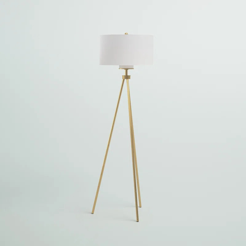 Braynt Metal Tripod Floor Lamp with Glass Shade | Wayfair North America