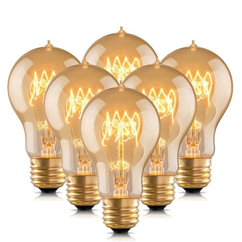 runquiz Warm Incandescent Light Bulbs 60 Watt,A19/A60 Vintage Style Edison Bulbs E26,Soft Yellow Light Bulbs,Amber Bulbs,Retro Light Bulb Old Fashioned,Halogen Dimmable Edison Bulb Squirrel Cage | Amazon (US)