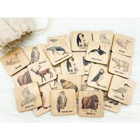 Montessori Arctic Animals Wooden Matching Game/ Homeschool Toddler Kindergarten Preschooler Learning Antarctica Animals Activity Toys | Etsy (US)