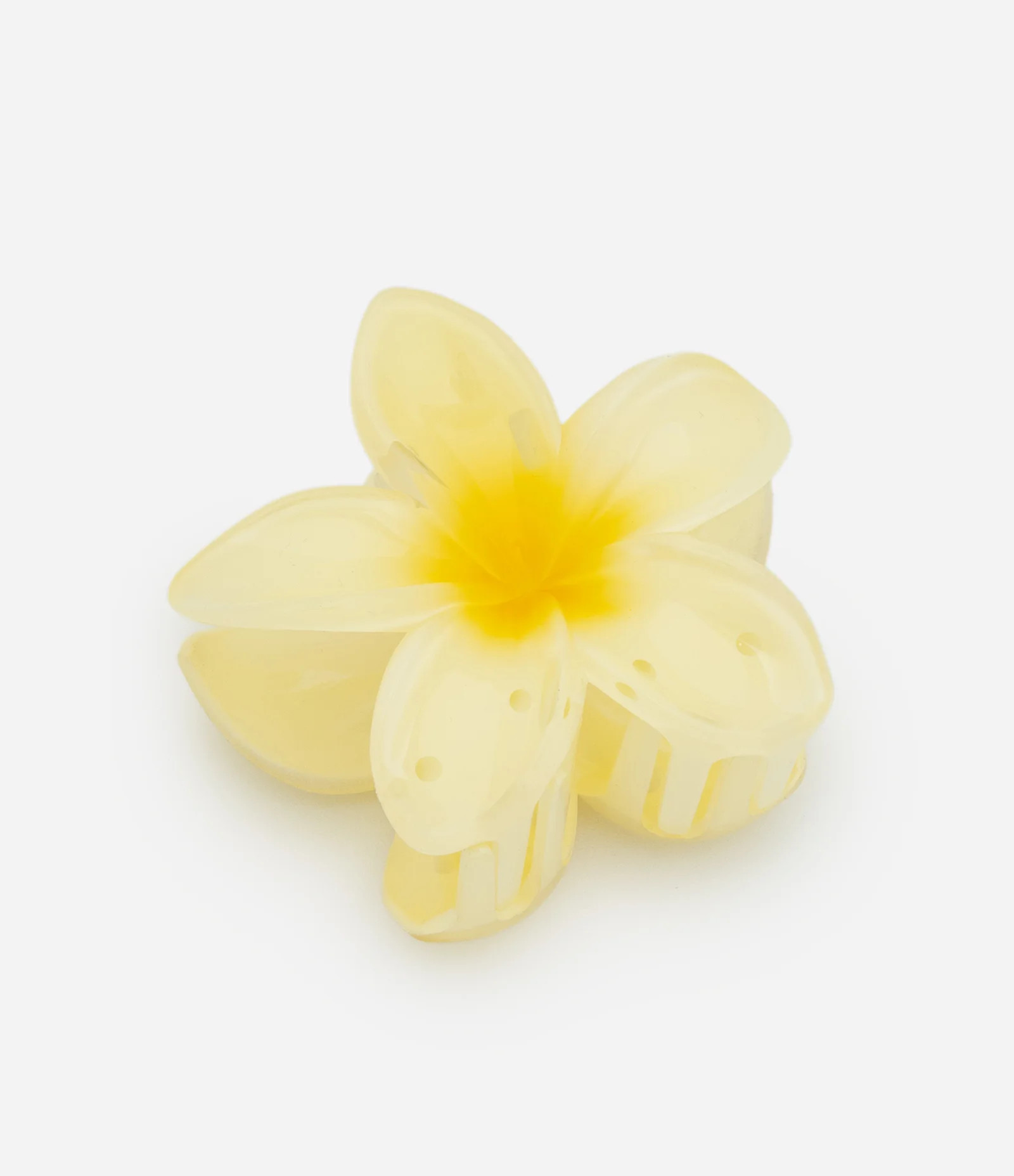 Piranha De Cabelo Formato de Flor de Jasmim Plástico Amarelo - Lojas Renner | Renner (BR)