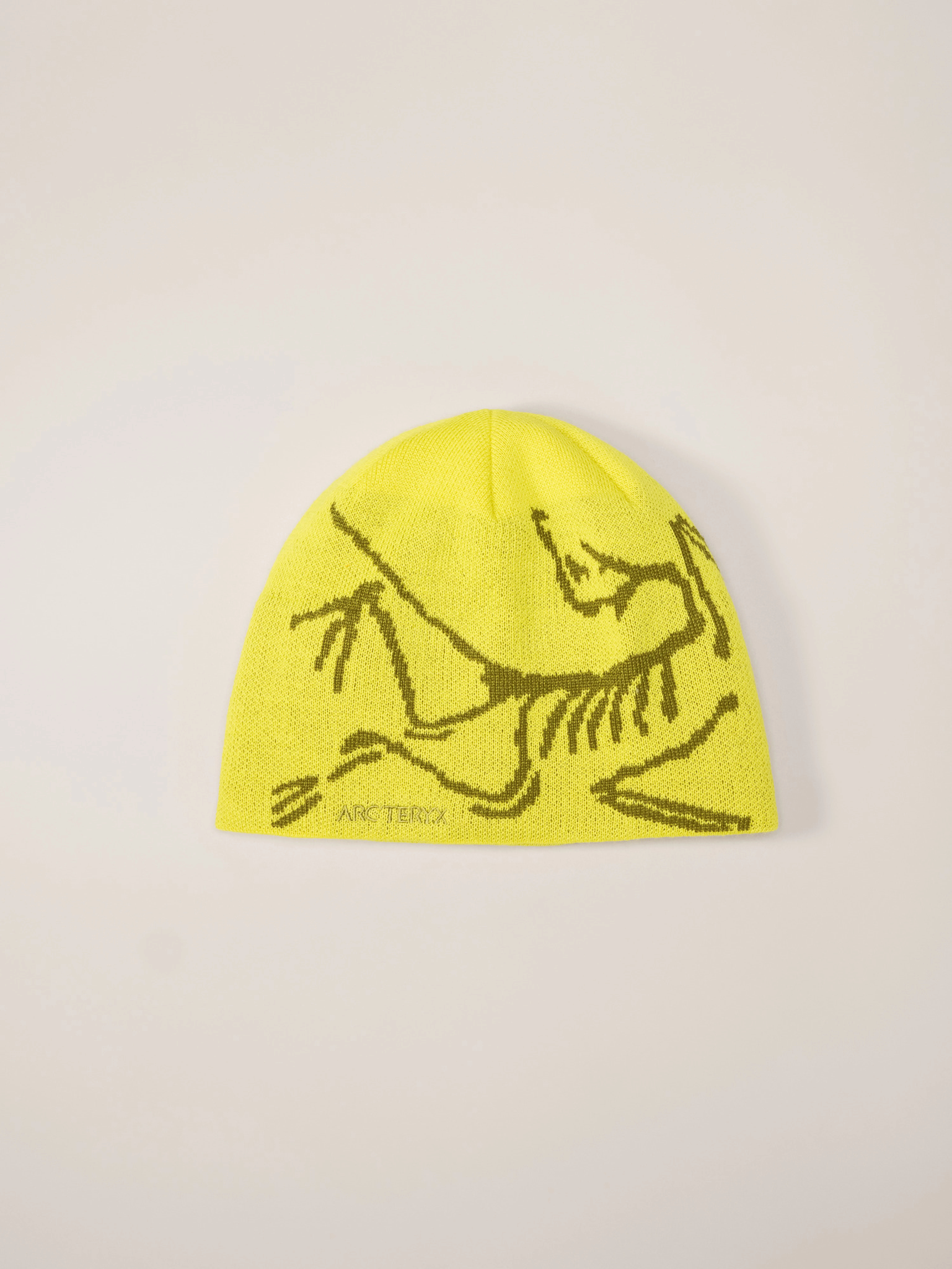 Bird Head Toque | Arc'teryx