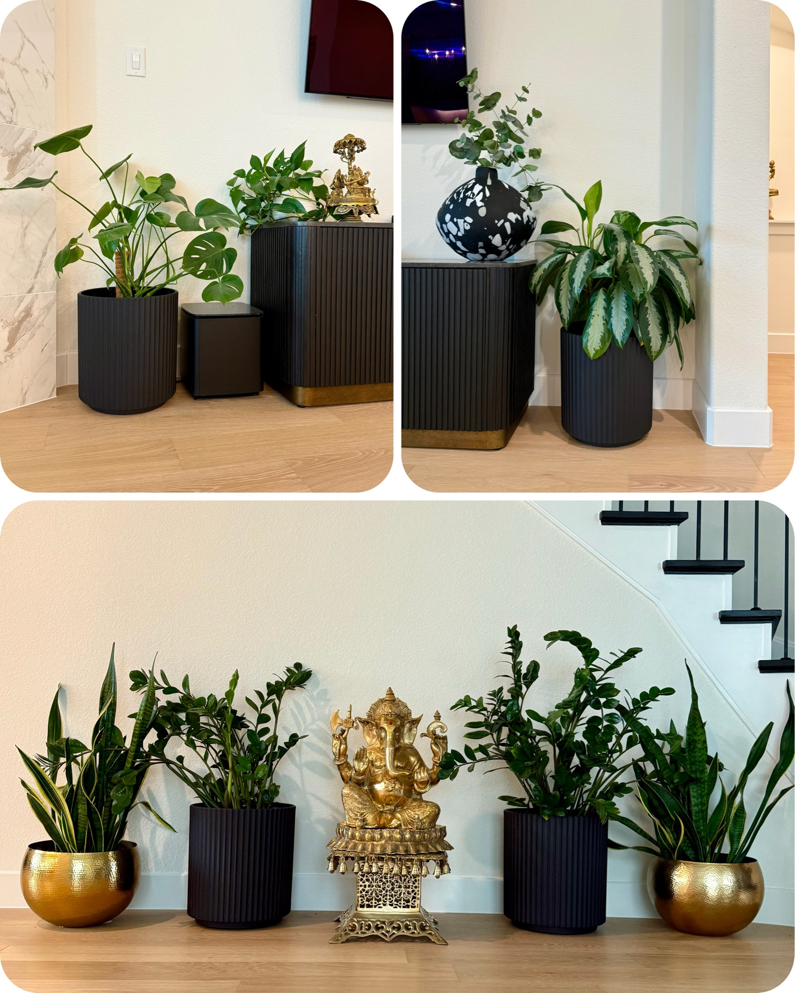 Weather resistant indoor/outdoor XL planters with drainage holes. 