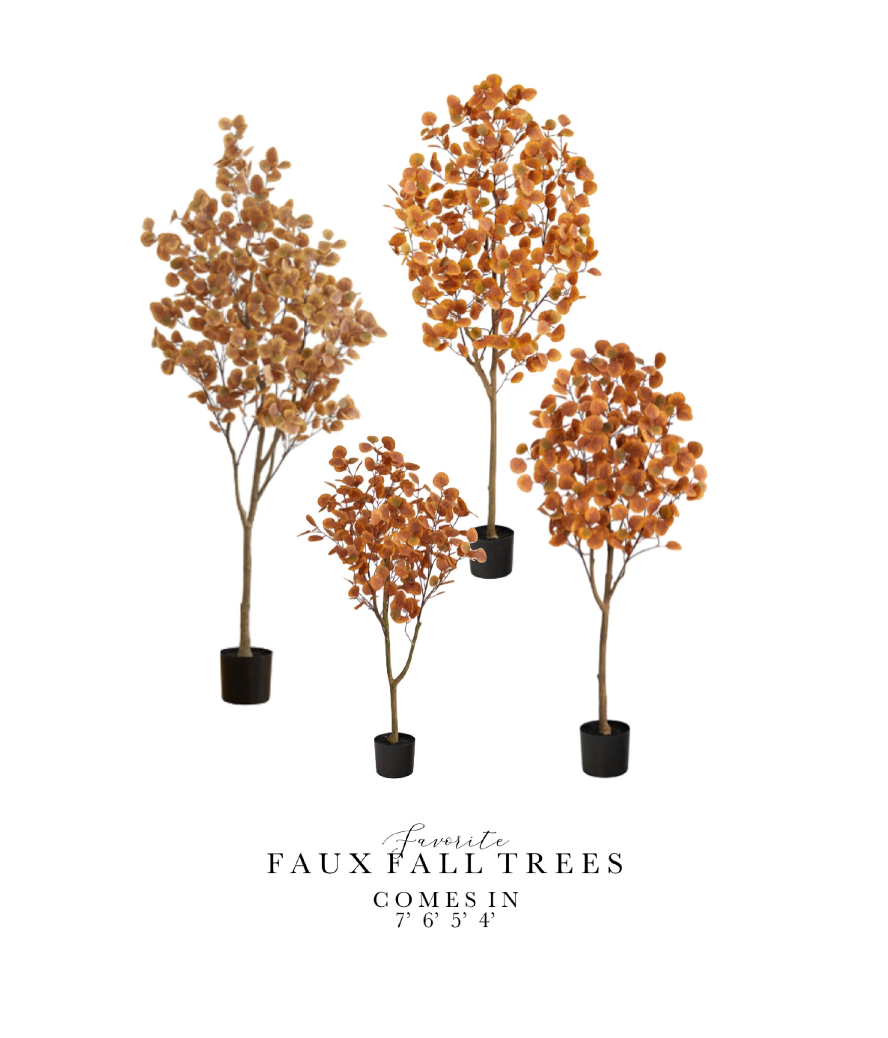 Faux Fall Eucalyptus Trees — seen on our front porch 🍂

#LTKhome #LTKSeasonal #LTKHalloween