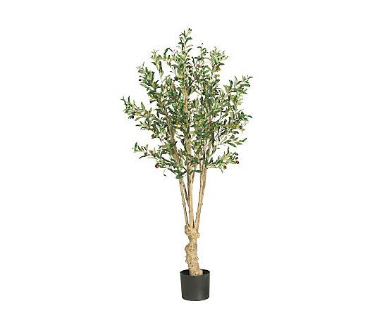 5' Olive Tree by Nearly Natural | QVC