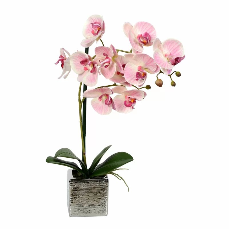 Artificial Phalaenopsis Orchid Floral Arrangement in Pot | Wayfair North America