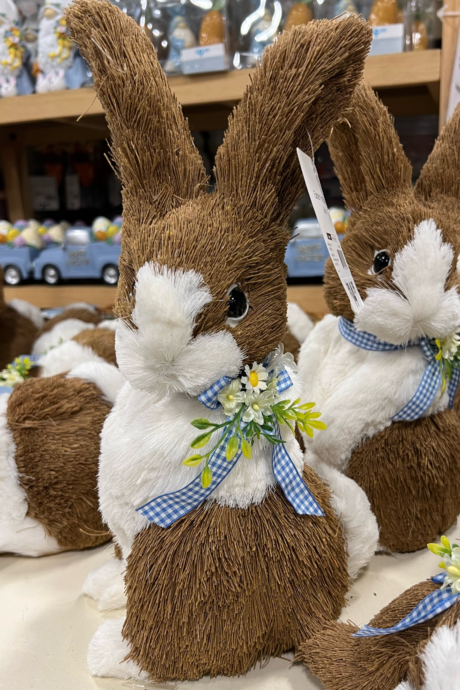 At Home Finds! Precious bunny! #bunnydecor #easterdecor #gingham 

#LTKhome