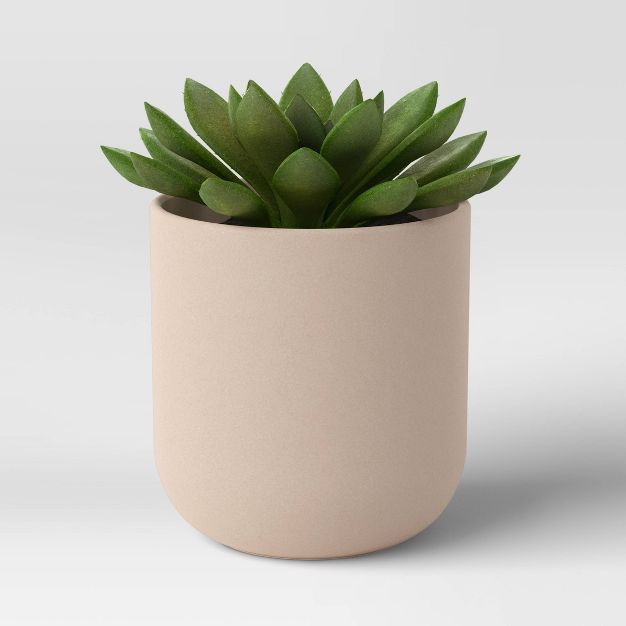 Artificial Mini Thick Succulent in Ceramic Pot - Project 62™ | Target