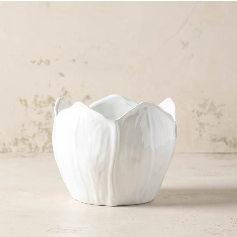 Cutest planter!

#LTKHome