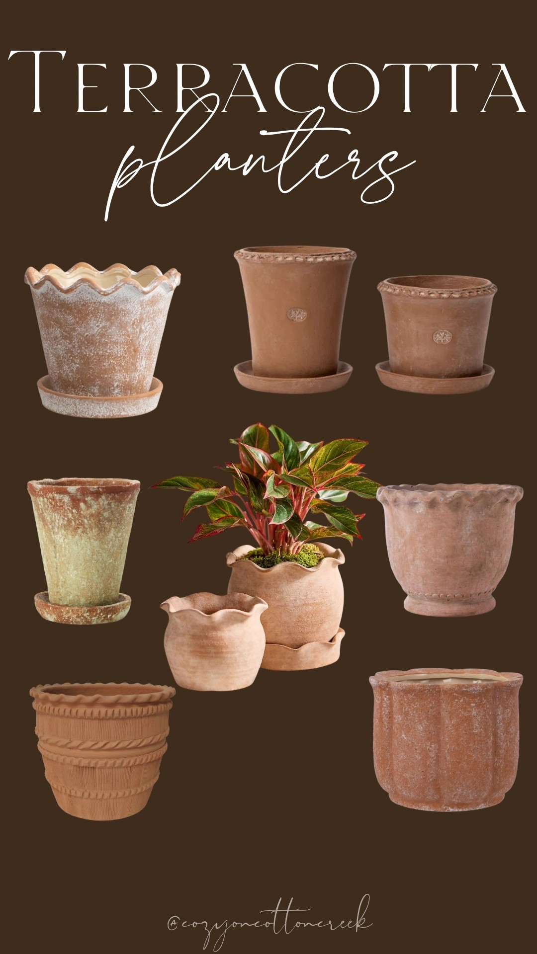 Outdoor and indoor terracotta planters 

#LTKSeasonal #LTKHome