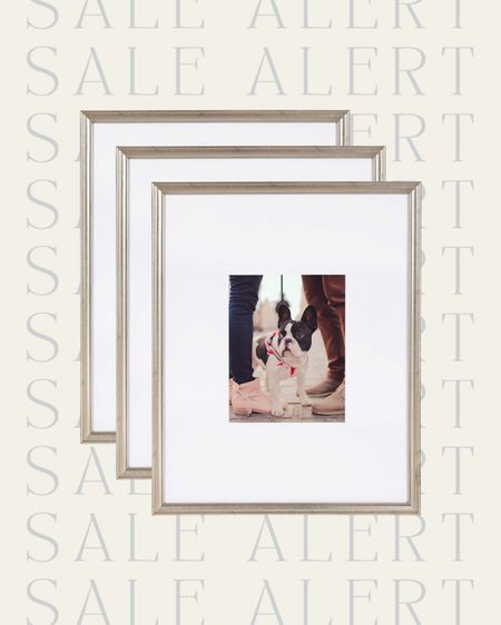 Sale alert 🚨 my favorite frames are back in stock in silver! Multiple sizes on sale! 

Amazon sale, sale, sale find, sale alert, Picture frame, matted frame, frame, wall decor, wall art, silver frames, back in stock, bedroom, living room, gallery wall, seating area, entryway, hallway, dining room, Modern home decor, traditional home decor, budget friendly home decor, Interior design, look for less, designer inspired, Amazon, Amazon home, Amazon must haves, Amazon finds, amazon favorites, Amazon home decor #amazon #amazonhome


#LTKSaleAlert #LTKFindsUnder100 #LTKHome