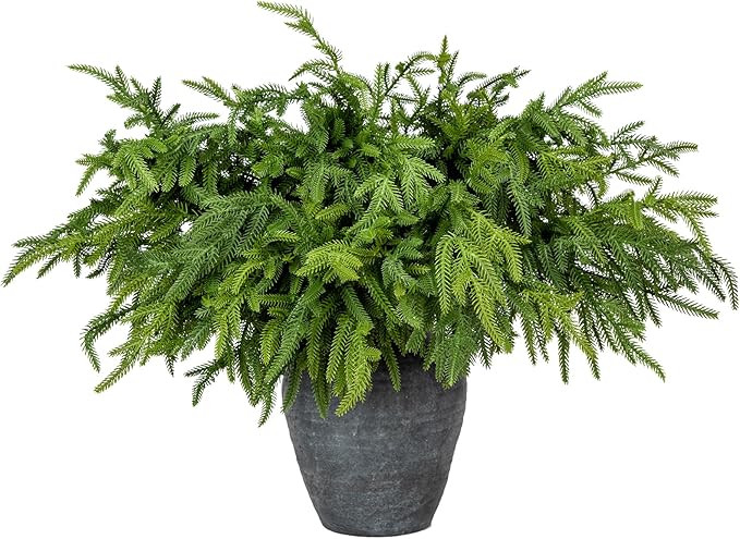 Briful 12PCS Christmas Norfolk Pine Branches Real Touch Norfolk Pine Stems DIY Crafts Artificial ... | Amazon (US)