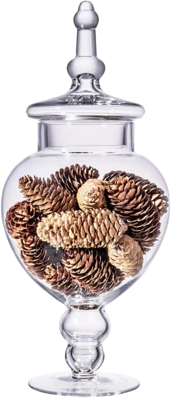 Large Glass Apothecary Jars with Lid, Clear Glass Candy Jar for Candy Buffet, Decorative Glass Jar for Party, Wedding and Home Decor, Elegant Glass Candy Canister (Height: 15", Diameter: 6.3") | Amazon (US)