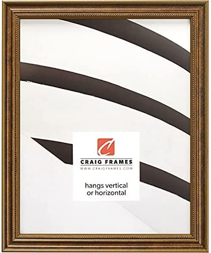Craig Frames 314BR, Ornate Bronze Picture Frame, 11 x 14 Inch | Amazon (US)