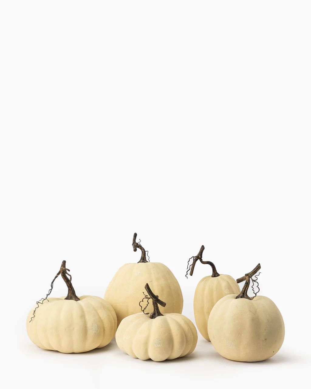 Ivory Pumpkin Collection | McGee & Co.