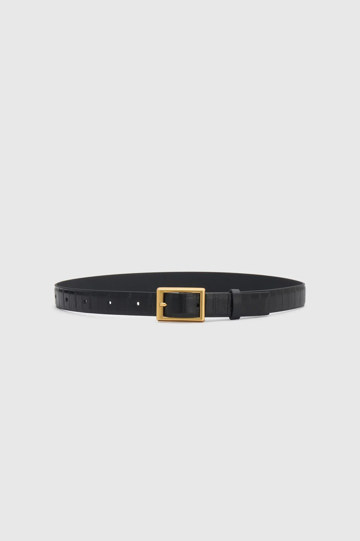 Sonny Eel Belt in Black - CAMILLA AND MARC\u00ae C&M | CAMILLA AND MARC (ANZ)