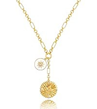 CLASSYZINT 18K Gold Plated Coin Lion Head Pendant Necklace Chunky Paperclip Choker Necklace For G... | Amazon (US)