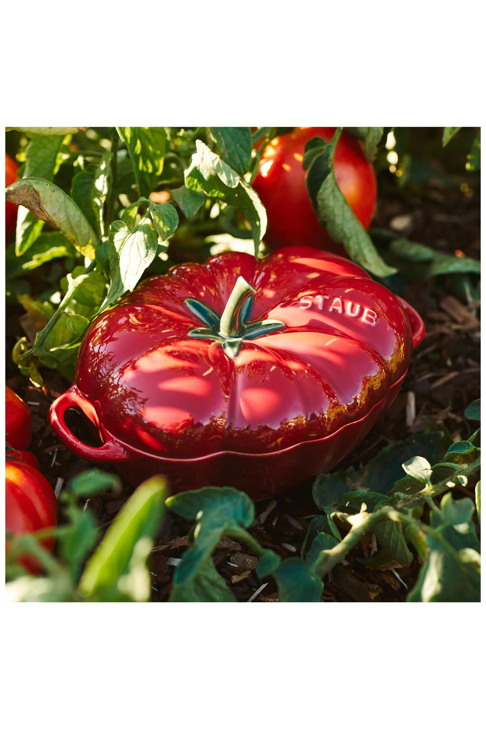 Ceramic Petite Tomato Dish with Lid | Nordstrom | Nordstrom