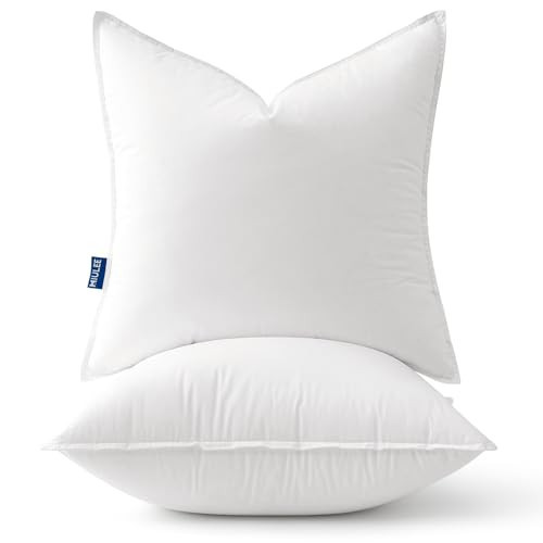 MIULEE 20x20 Throw Pillow Inserts,Set of 2 Decorative Pillow Inserts with Soft Cotton Cover,Fluffy and Cozy Indoor Square Sofa Couch Pillow Inserts White | Amazon (US)