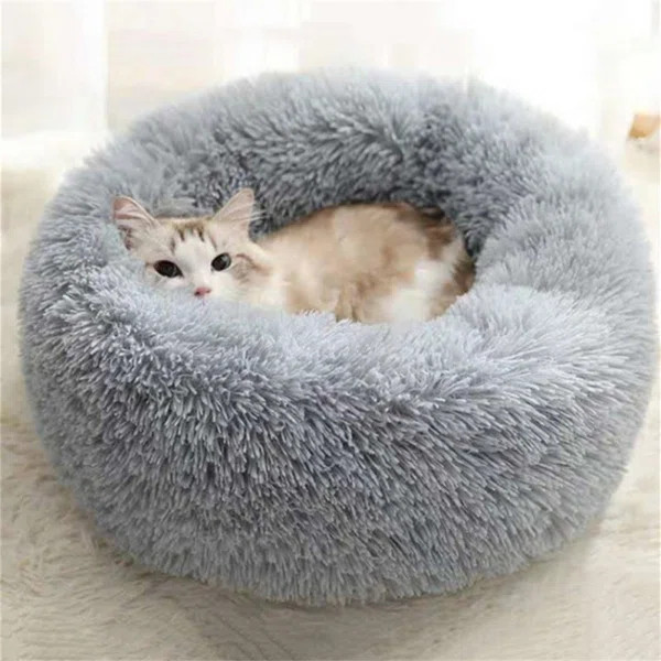 Korovia Cat beds | Wayfair North America