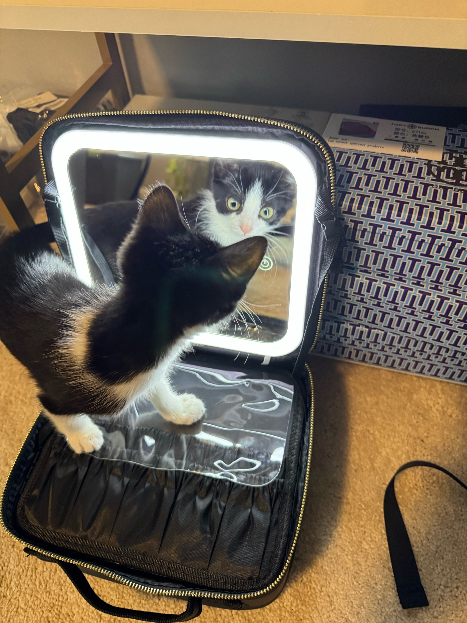 My model is the cutest. 

Makeup Train Case Makeup Bag with Light up Mirror Cosmetic Bag Organizer Detachable Portable Travel Makeup Case with Adjustable Dividers Makeup Brushes Storage,Waterproof, comes in many colors. 

⭐️⭐️⭐️⭐️⭐️

43% off right now 

#LTKsalealert #LTKtravel #LTKbeauty