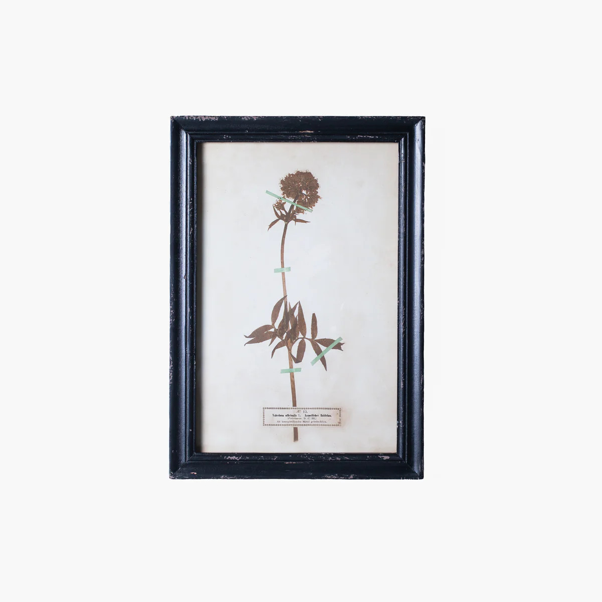 Whimsy Framed Floral Art | Stoffer Home