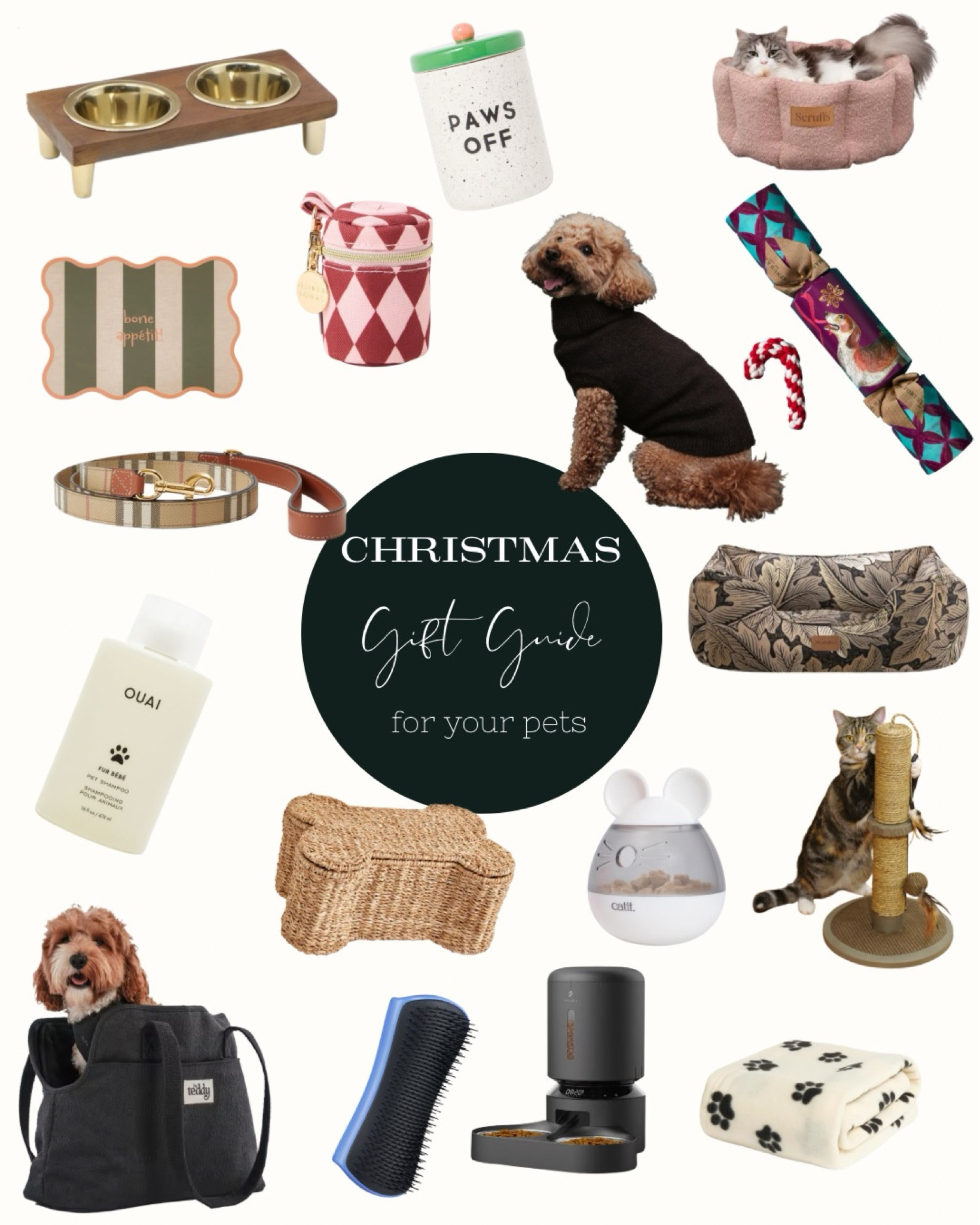 Christmas Gift Guide For Your Pets ❤️
