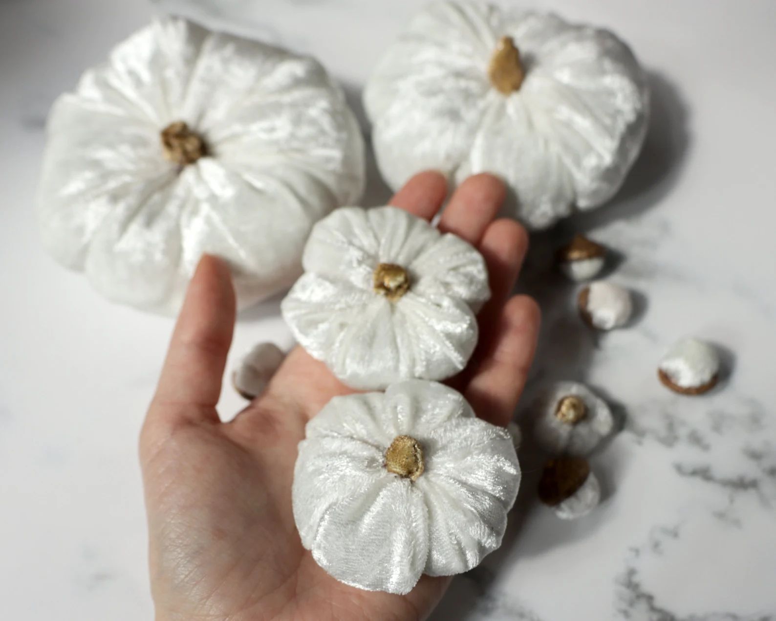 Set 5 mini white silk velvet pumpkins and 6 velvet acorns with | Etsy | Etsy (US)