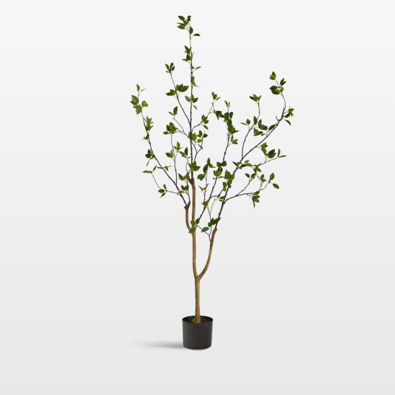 Faux Minimalist Citrus Tree 5' | Crate & Barrel | Crate & Barrel