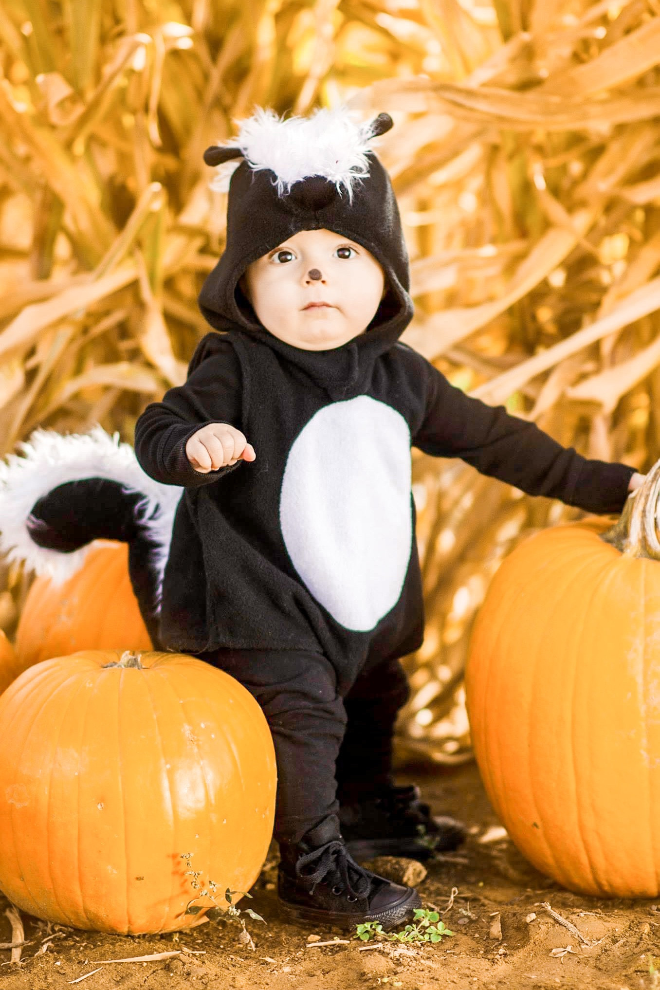 20% off Pottery Barn Kids Costumes! High quality costumes for better prices! Baby. Kids. Halloween costumes. Baby costume. Cute costumes. Kids costumes. Halloween prep. Halloween fun. The best costumes. Animal costumes. Skunk costume. Adaptive costumes. Boys costumes. Toddler costumes. Girl costumes. Unicorn. Witch. Skeleton. Dinosaur. Dragon. Bat. Infant costumes. 

#LTKkids #LTKHalloween #LTKsalealert