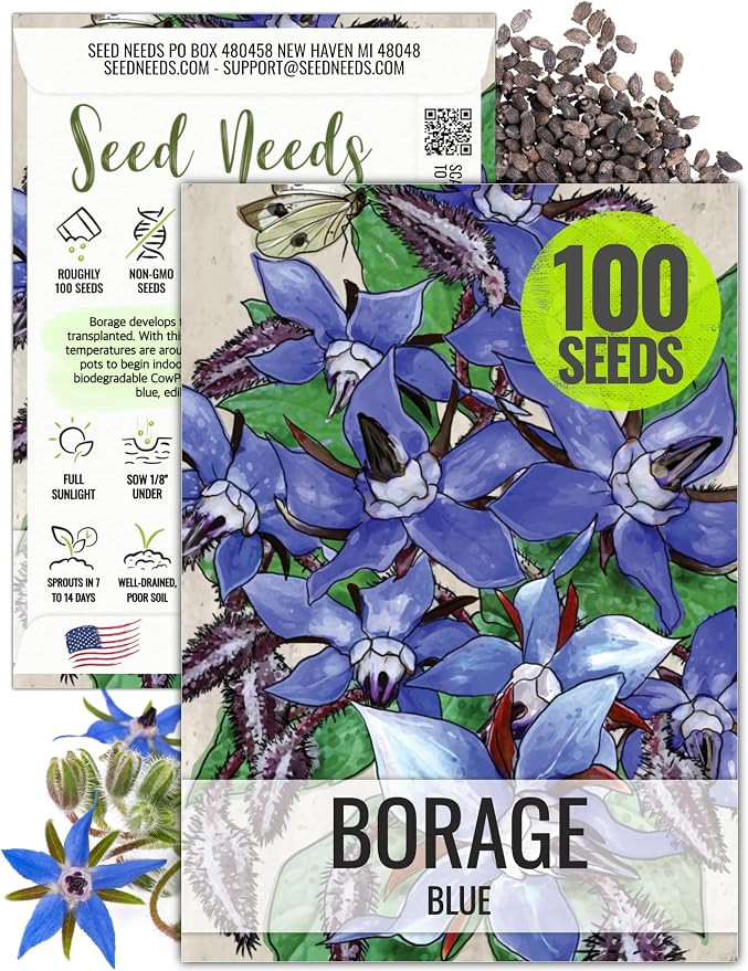 Seed Needs Borage Seeds for Planting Blue Star Flowers - Heirloom Non-GMO & Untreated - Plant a H... | Amazon (US)