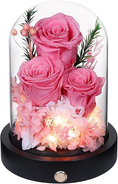 Forever Flowers Gifts for Women,Preserved Roses in Glass Dome, Eternal Flowers for Delivery Prime... | Amazon (US)