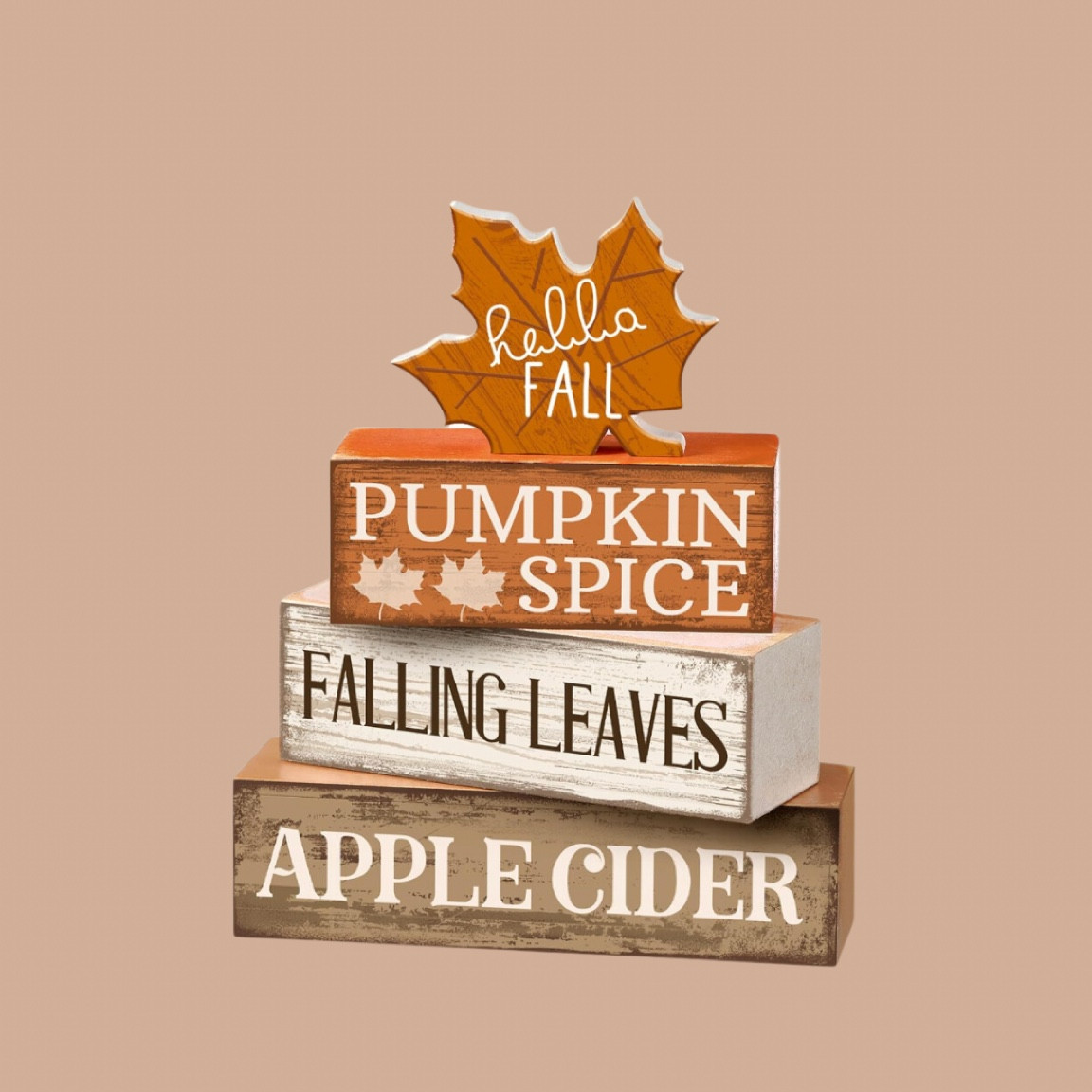 Fall decor



#LTKHome #LTKSeasonal