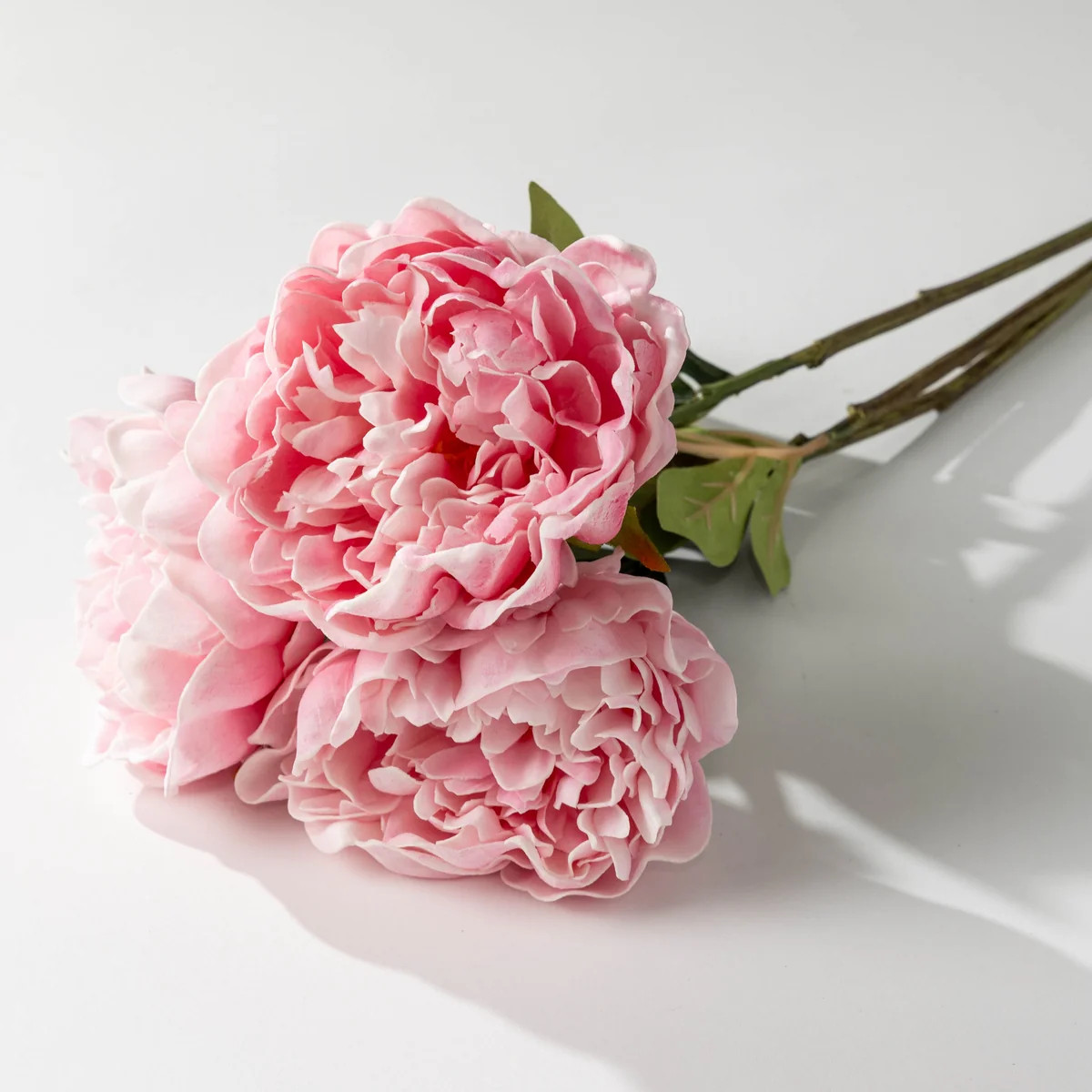 25" Pink Peony Bundle | Modern Locke