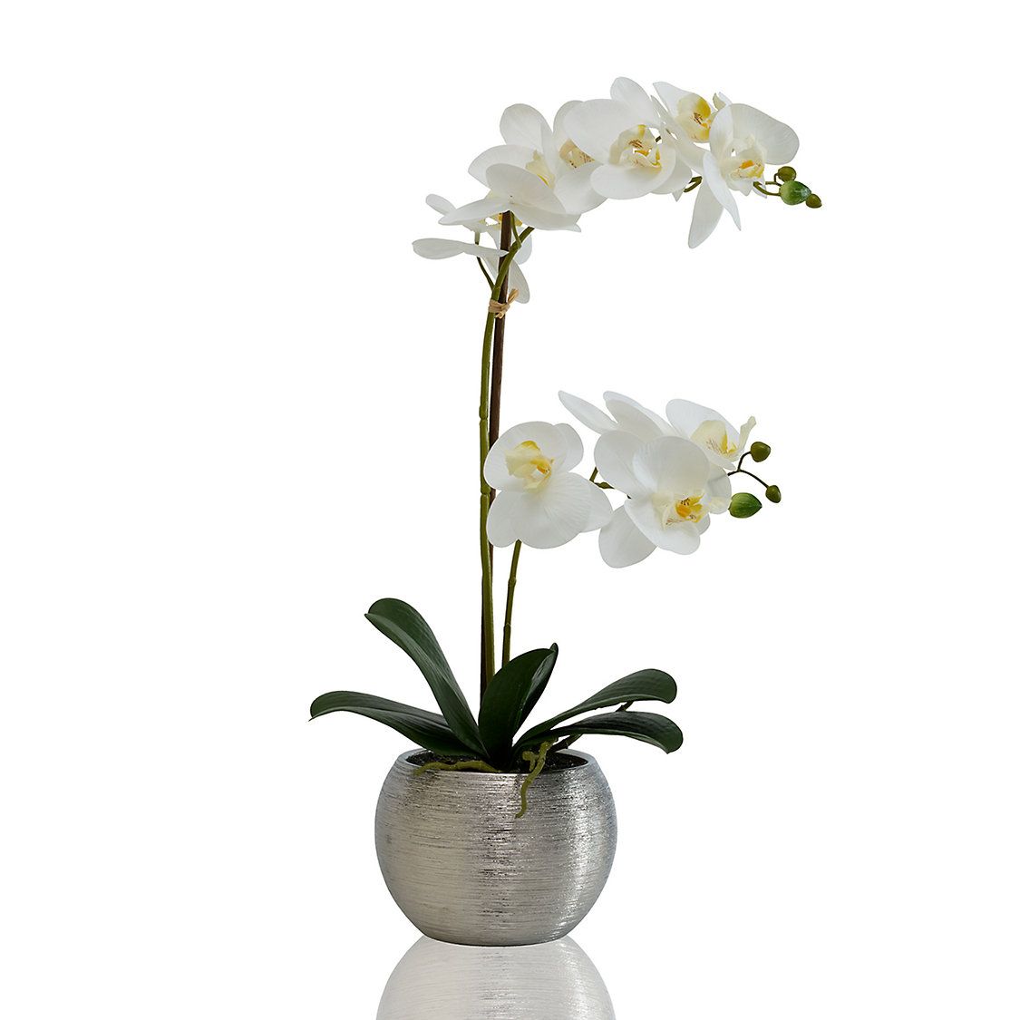 Scott Living Oasis White Orchid Artificial Plant | Kohl's