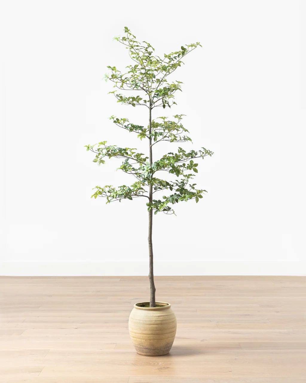 Faux Japanese Quince Tree | McGee & Co.