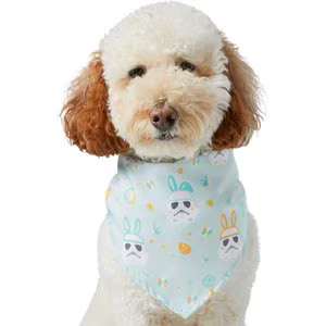 STAR WARS STORMTROOPER Easter Bunnies Dog & Cat Bandana | Chewy.com