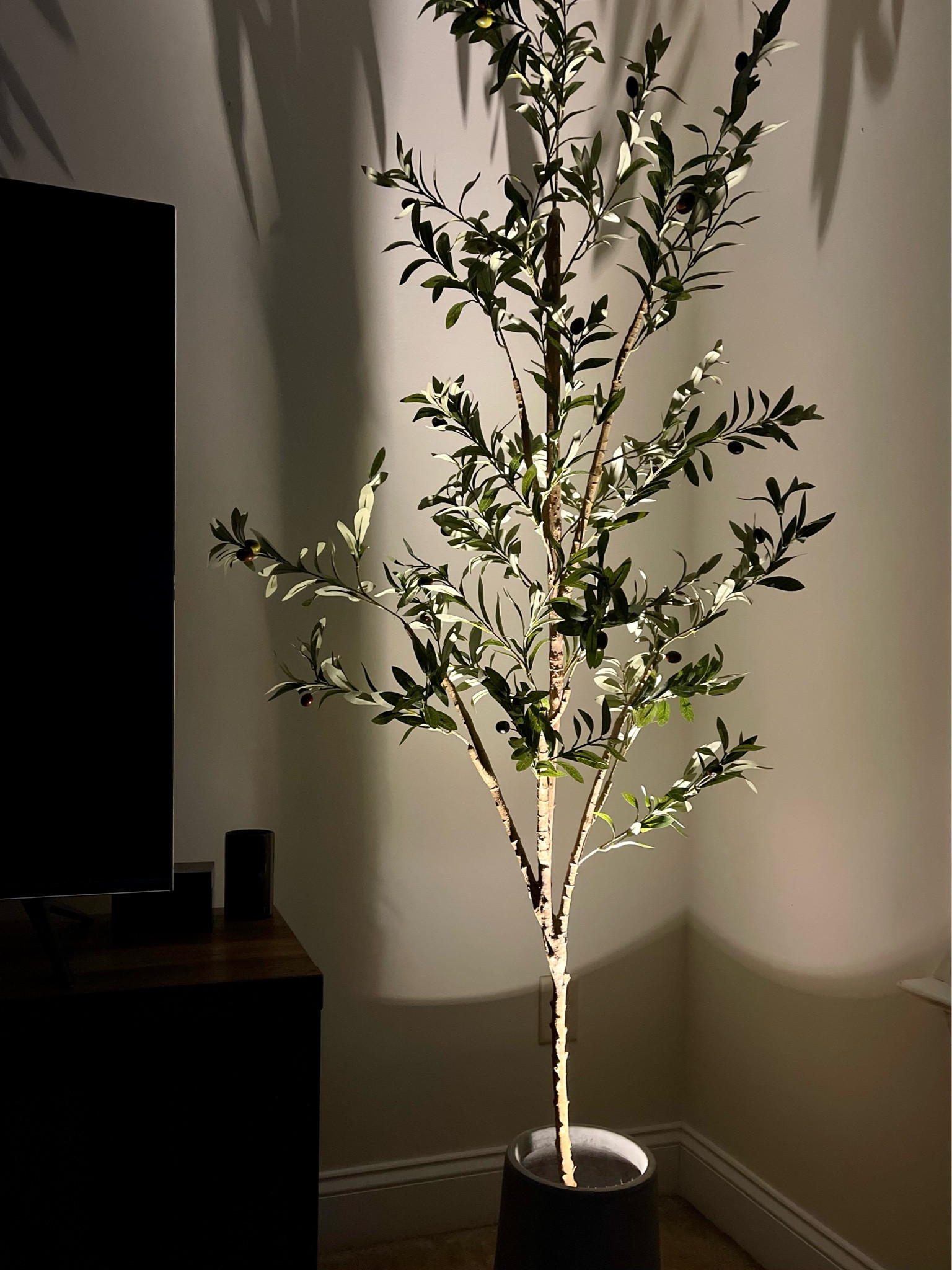 An easy way to elevate your interiors is add accent lighting on your faux or real plants throughout the house. Replicate what you see on trees on the exterior that are professionally landscaped with up lighting inside. 

This wireless spotlight from Amazon is the perfect addition to styling your faux olive tree in a pot - it is battery operated, has a timer, and remote!

Faux olive tree in modern planter, cement planter, accent lighting, Amazon home, Amazon finds, design hacks #interiorstyling #decortips

#LTKFind #LTKunder50 #LTKhome