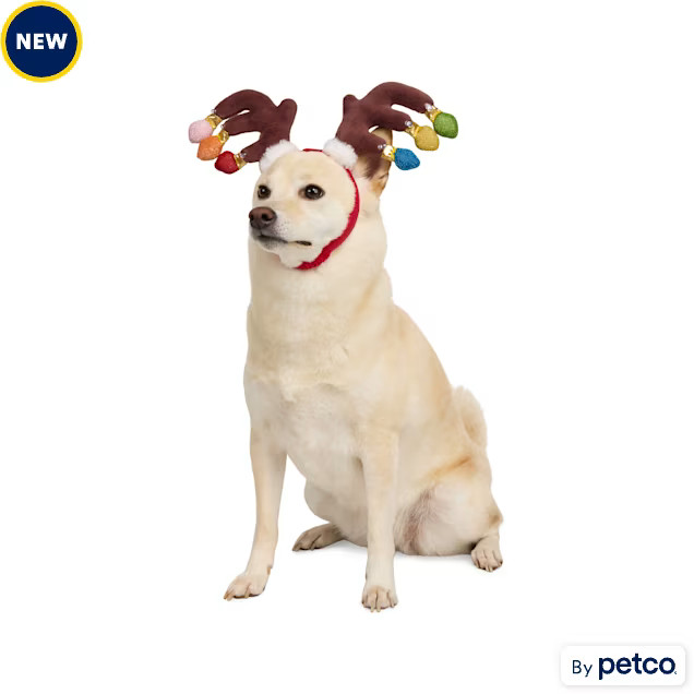Merry Makings Light-Up Antler Costume Pet Headband, Large/X-Large | Petco
