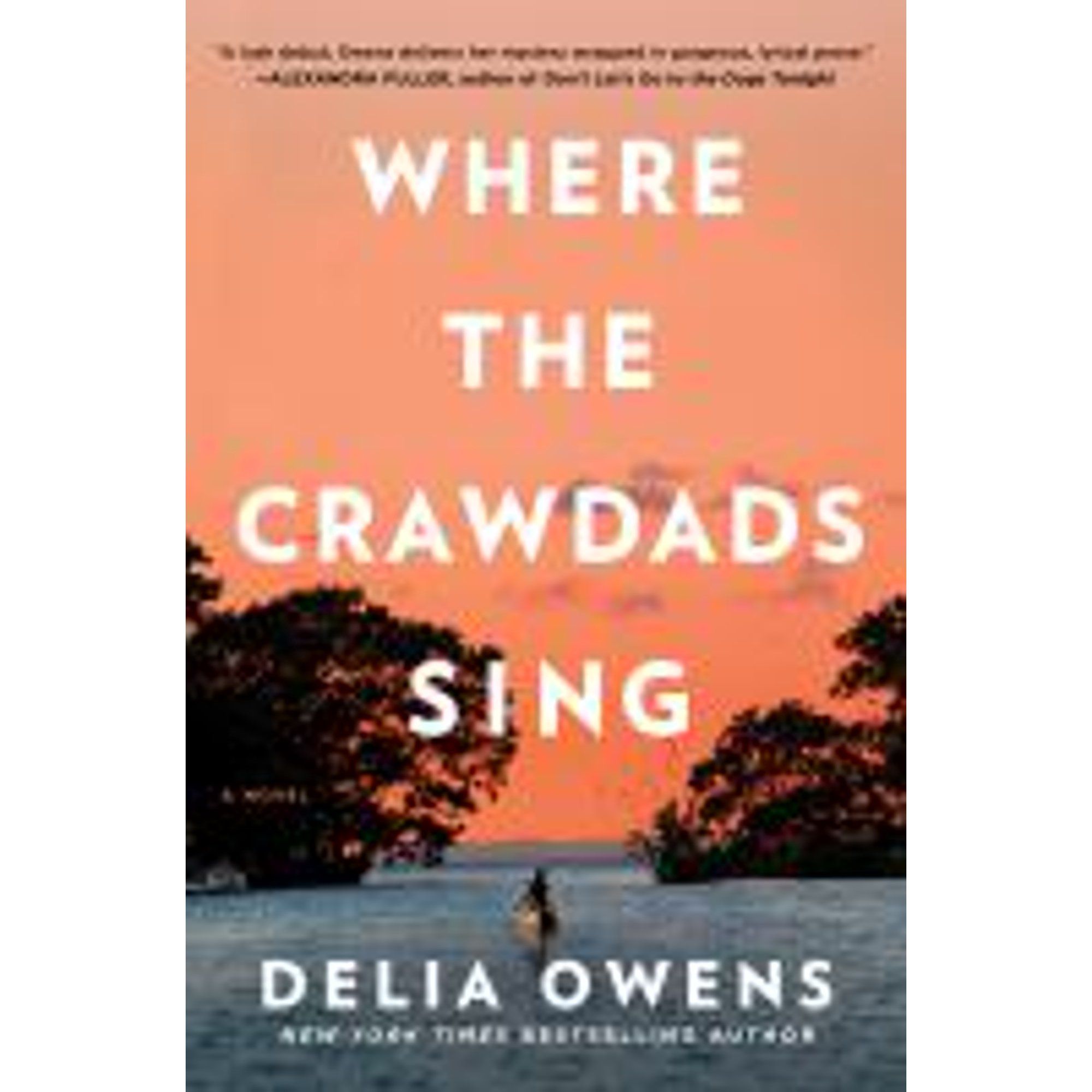 Where the Crawdads Sing - Hardcover | Walmart (US)